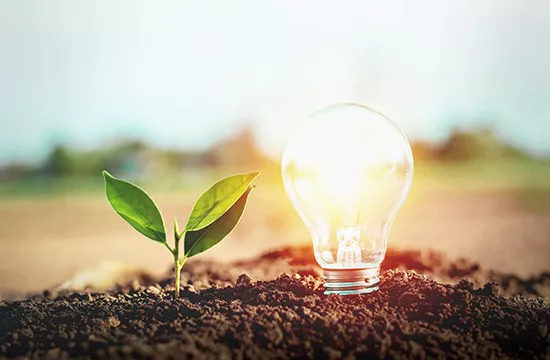 Spezialgebiete und Innovationen